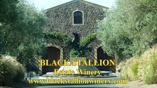 Black Stallion Estate Winery [upl. by Ainslie]