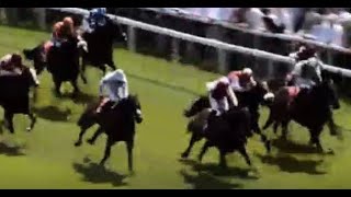 CHESTER FULL races replay May 09 2024  Horse Racing [upl. by Lennie632]