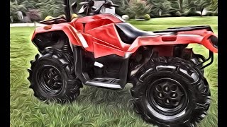 Snorkeled Arctic Cat 450 Alterra [upl. by Alidus]