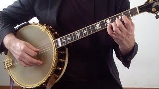 You Only Need Two Fingers Tenor Banjo Lesson for Beginners First Two Chords [upl. by Nylhtak]