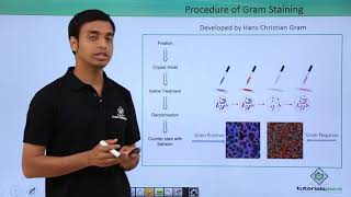 Class 11th – Kingdom Monera  Structure of Bacterial Cell  Tutorials Point [upl. by Ynneg]