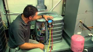 Using a testo 550 Digital Manifold to Charge an AC System [upl. by Leyameg]