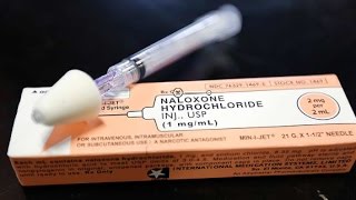 Naloxone Training VideoIntranasal Naloxone [upl. by Pauly]