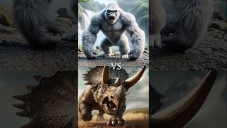 Triceratops vs Animals vs Dinosaurs TRex Lion Tiger [upl. by Nnitsuj46]