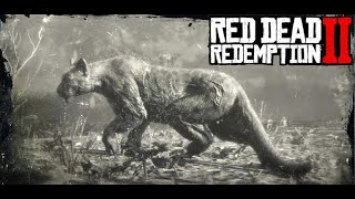 RED DEAD REDEMPTION 2  JAK UPOLOWAĆ IDEALNĄ PANTERĘ HOW TO GET IDEAL PANTHER PELT [upl. by Mccandless]