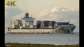 SAFMARINE BENGUELA  Shipspotting Germany 🇩🇪 IMO 9355367  River Elbe near City Otterndorf 4K VIDEO [upl. by Gar]