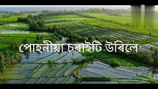 Puhoniya Soraiti Urile Assamese Song  Cover By Pranjal Gogoi [upl. by Olfe]