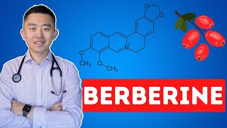 The Truth About Berberine  What you need to know [upl. by Frederica619]