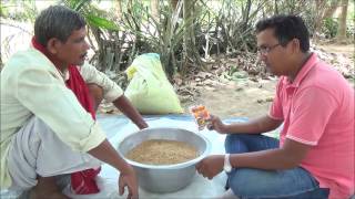 Paddy Seed Treatment for Better Yield Odia [upl. by Ainigriv]