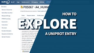 How to explore a UniProt entry [upl. by Aicitan]