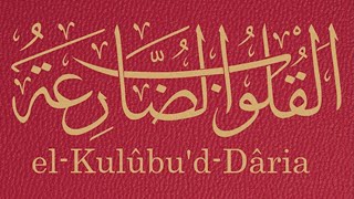 FETHULLAH GÜLEN  DUALAR 5  DUA VAKTİ  DUA DİNLE  EL KULUBUD  DARİA  القلوب الضارعة [upl. by Oal497]