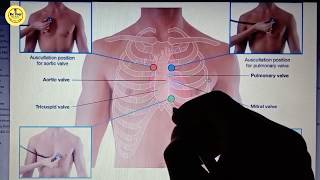 Auscultation Of Heart Sounds In Hindi  Heart Sounds Area Points [upl. by Akahs713]