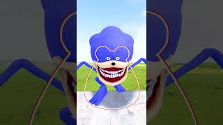 GUESS REAL OUTLINE of SONIC TALES EXE vs POPPY PLAYTIME POU BOUS REVENGE INSIDE OUT GARRYS MOD [upl. by Tterrag340]