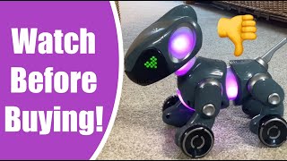 Pyxel Coding Tutorials  WATCH BEFORE BUYING Pyxel Pyxel a Coders Best Friend Robotic Dog [upl. by Solram]