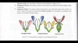 Biology afsomaliHypogynous perigynous and Epogynous flowerby Abdimajiid Netka [upl. by Lema]