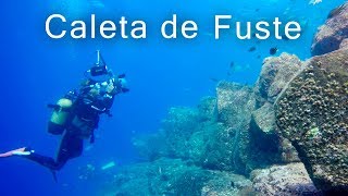 A diving paradise in Caleta de Fuste  Fuerteventura [upl. by Noret843]