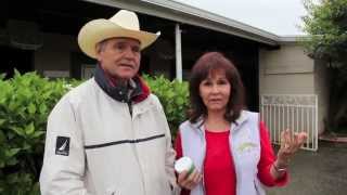 Chatn with PamelaQuarter Horse Trainer Denny Ekins amp The Original SoakingBoot® [upl. by Pillow]