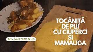 Tocana de Pui cu Ciuperci si Mămăliga Prin Bucatarie Ep 20 [upl. by Eidnyl964]