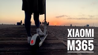 Xiaomi M365 Scooter Review [upl. by Yzzik]