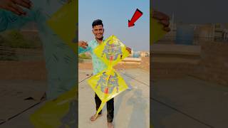 FLY A DOUBLE KITE 😱 shorts pkcrazyexperiments [upl. by Garnes75]