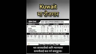 Kuwait मा रोजगार । jobs in kuwaitbaideshikrojgar shorts foryou short nepal [upl. by Pasia]