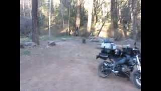 Camping with the Buell Ulysses XB12X [upl. by Yhtnomit]