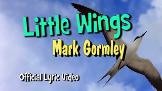 Little Wings Official Lyric Video by Mark Gormley [upl. by Nageek]