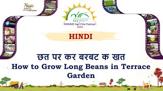 MANAGE  Agri Film Festival छत पर करे बरबटी की खेती  How to Grow Long Beans Terrace Garden  HINDI [upl. by Ronny600]