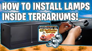 How To Mount Lamps Inside Terrarium [upl. by Lirret]