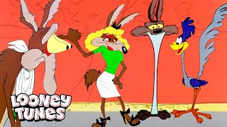 20 scrupulis Wile E Coyote calida Mes  Looney Tunes  GenWBLatino [upl. by Esinaj]