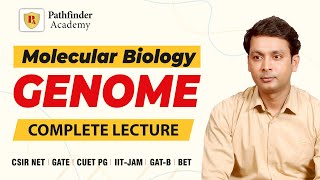 Genome  Molecular biology  Pranav Kumar  CSIR NET  GATE  DBT  ICMR  IIT JAM [upl. by Nalced547]