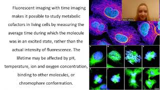 Fluorescence lifetime imaging microscopy as a highly sensitive [upl. by Anahsahs]