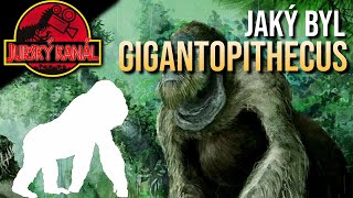 Gigantopithecus Největší primát  Atlas Druhů 35  Jurský Kanál [upl. by Sausa]