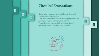 Chemical Biochemistry  Introduction to Biochemistry  Lecture 1 Part 3 [upl. by Eicam]