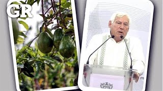 Plantea México a EU sustituir inspectores de aguacate [upl. by Ynehpets]