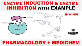 Enzyme Induction  Enzyme Inhibition  Pharmacology  Medicinal Chemistry  Carewell Pharma [upl. by Godber]