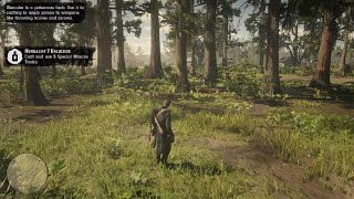 RDR2 Herbalist Challenge 6 [upl. by Aivatra495]