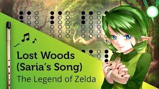 Lost Woods  Sarias Song The Legend of Zelda on Tin Whistle D  tabs tutorial [upl. by Nylesoj]