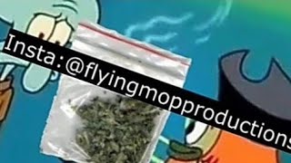 Squidward 🐙Buys Boof Seaweed for SpongeBobs 🧽 Birthday 🎂 [upl. by Ysus]