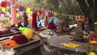 On the Path of the Buddha Buddhist Pilgrimage in North India and Nepal [upl. by Lledrac]