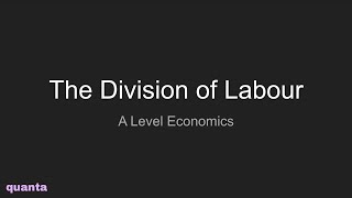 The Division of Labour [upl. by Stanfield]