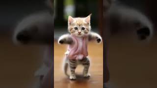 so funny cat videos🤣📸 cat catloverfunnycat shortvideo shortsfeed shorts shortsvideo [upl. by Les]