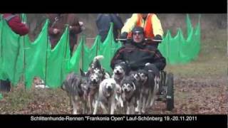 SchlittenhundeRennen quotFrankonia Openquot LaufSchönberg 1920112011 [upl. by Ahtelahs]