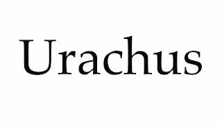 How to Pronounce Urachus [upl. by Anidal]