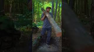 bushcraft build camp camping survival shelter wildlife skills lifehacks forest [upl. by Aihtebat]