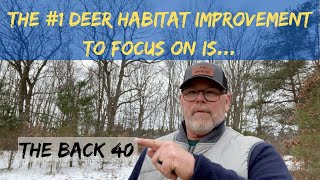 The 1 Deer Habitat Improvement Its Not What You Think [upl. by Hakceber]