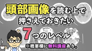 頭部画像CT、MRI画像を見る上で押さえておきたい7つのレベル解説動画 概要欄に無料講座あり。 [upl. by Adoree]