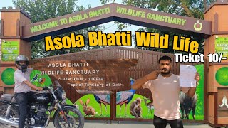 Asola Bhatti WildLife Sanctuary Delhi NCR Ticket 10 Parcking 10 Jungle Safari free [upl. by Brose842]