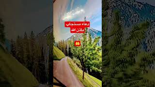 دعاء الرسول صلى الله عليه وسلم أحاديثنبوية احاديثالرسول احاديثشريفة قران explore اكسبلور [upl. by Enahpets907]