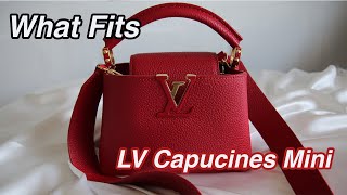 LV CAPUCINES MINI  WHAT FITS  BOHEMIANGIRL [upl. by Itin201]